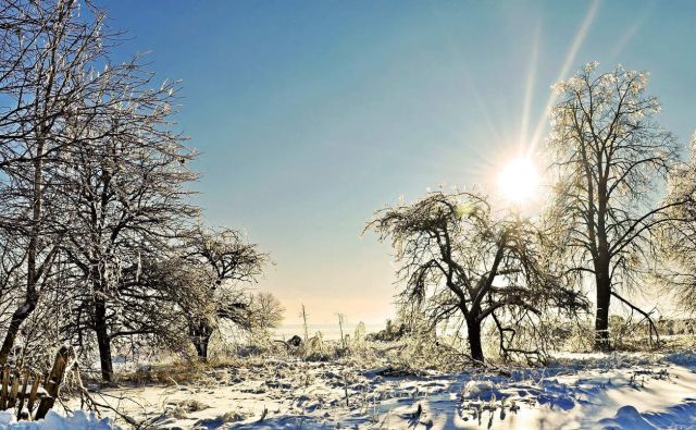 До –15 °С может похолодать в Ростовской области в праздничные выходные