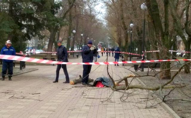 В центре Ростова дерево упало на семью, 21-летняя мама погибла