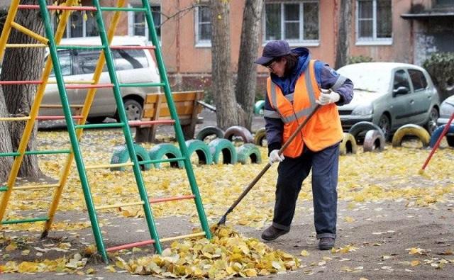 «Управления благоустройства» пяти районов Ростова в течение двух лет проводили госзакупки лишь для вида