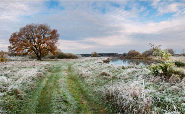 Новости | Белая Калитва: Информационно - развлекательный портал - Страница #235 photo В Ростовской области ожидаются заморозки до –2 °С