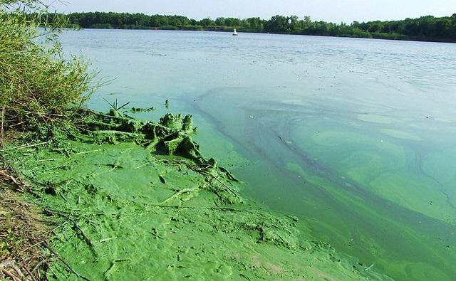 «Ростовводоканал» собрался решить проблему с дурным запахом воды из кранов раз и навсегда