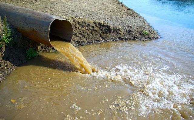 Специалисты минприроды не нашли в Ростовской области чистых водоёмов