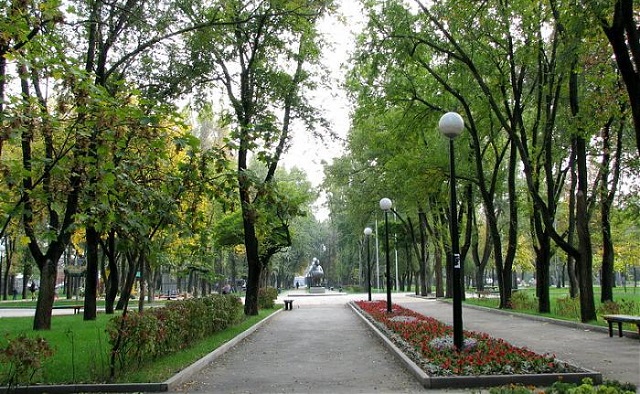 Новости области | Белая Калитва: Информационно - развлекательный портал - Страница #128 photo Городская дума добавила Ростову 1,4 тысячи гектаров леса