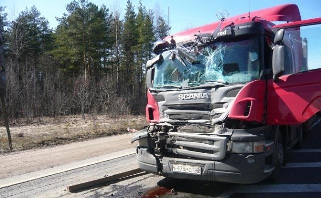 В Ростовской области в тройной аварии с фурой на М4 «Дон» пострадали 4 человека