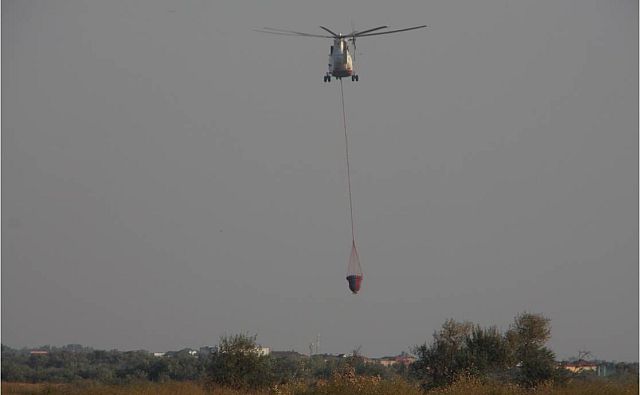 В Ростовской области нашли виновного в крупном пожаре на территории парка «Донской»