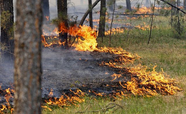 В Ростовской области объявили пожароопасность 5-го класса