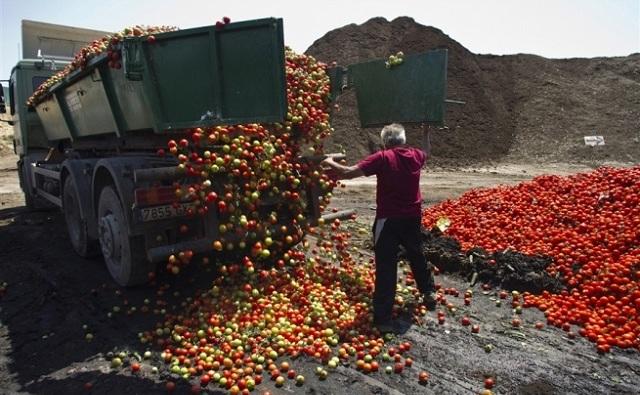 В Ростовской области с 2014 года уничтожили около 170 тонн санкционки 