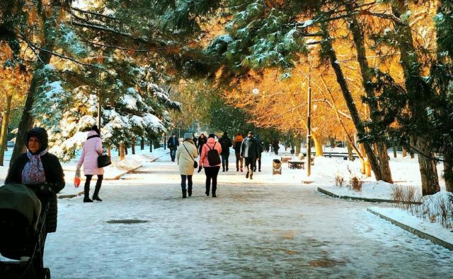 На выходных в Ростовской области ожидается до –15 °С