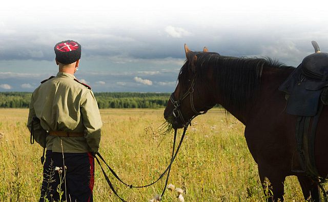 УФАС уличило казаков Ростовской области в махинациях с большими участками земли