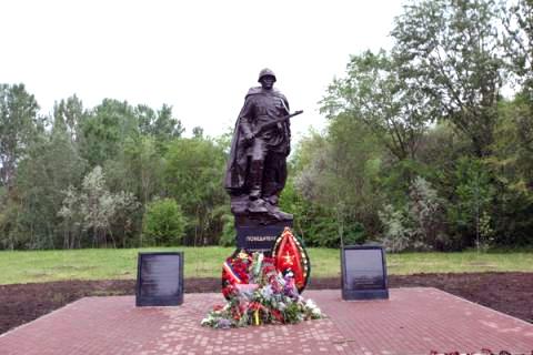 Артемий Лебедев раскритиковал памятник Советскому солдату в Ростове