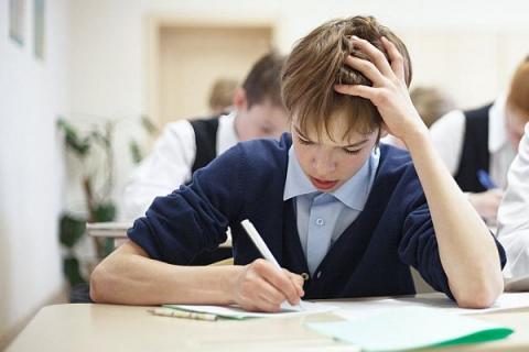 Средний уровень интеллекта школьников Ростовской области оказался ниже, чем в целом по стране
