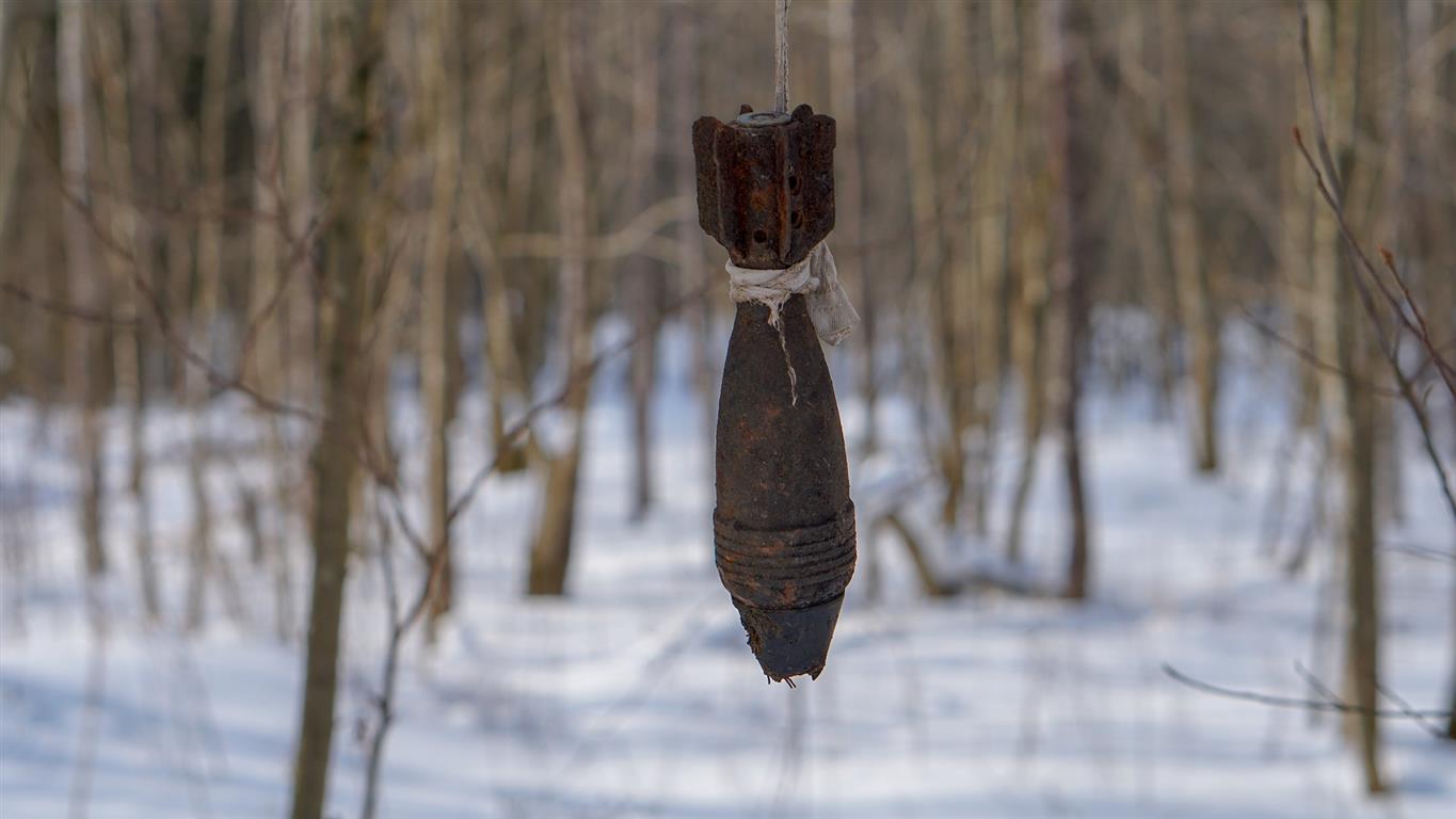 Доносится эхо войны…