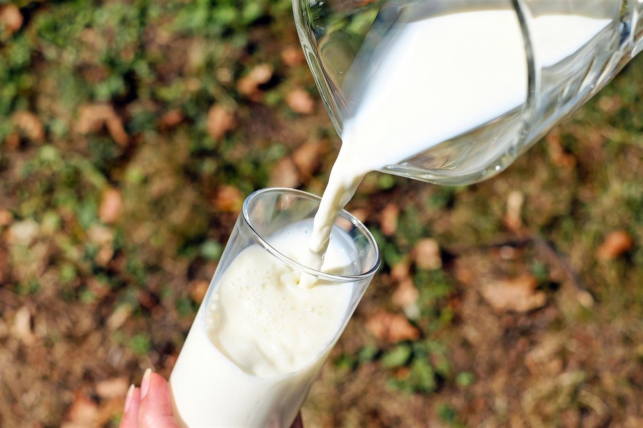Сельхозпредприятия Белокалитвинского района произвели более 14961,9 т. молока