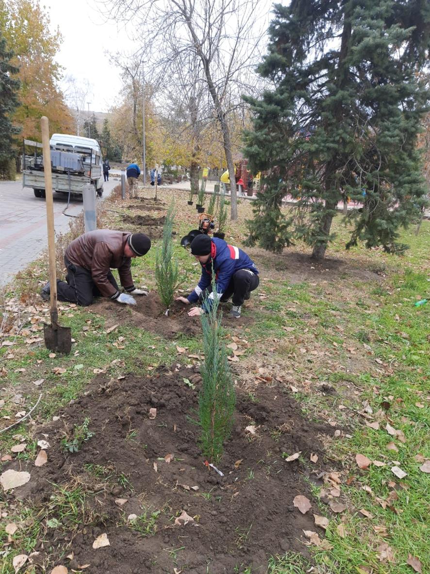 «Голубая стрела» в белокалитвинском сквере