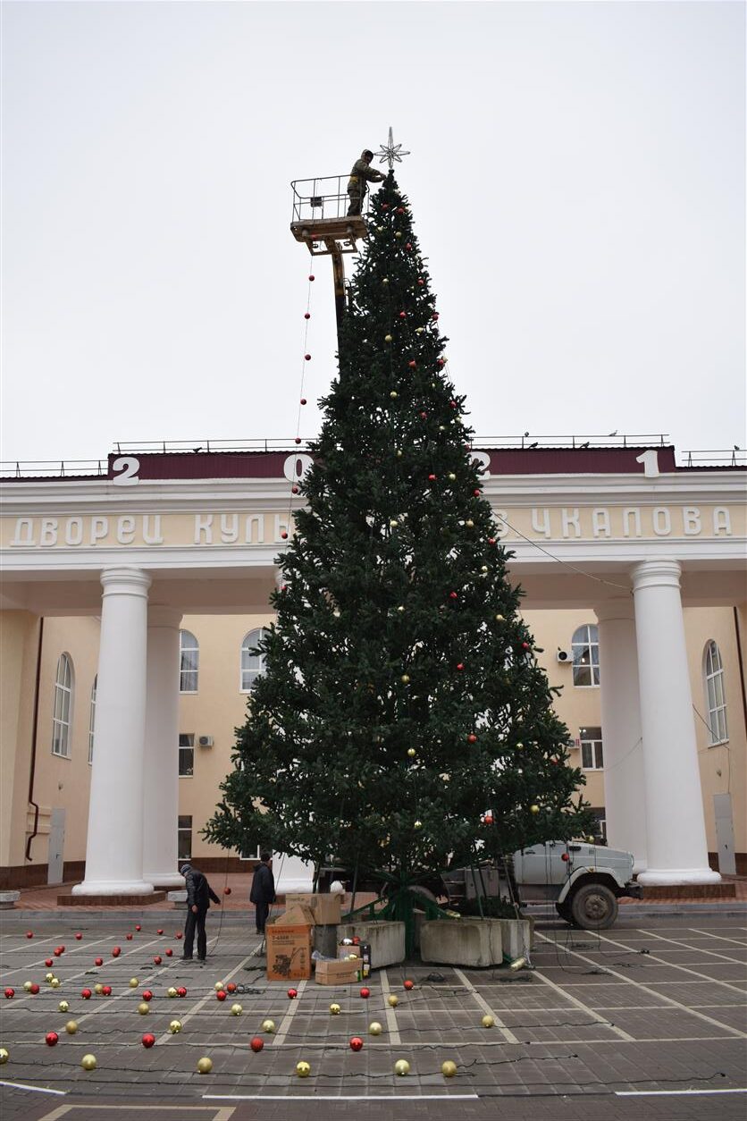 Белокалитвинскому городскому поселению житель города подарил ель. Администрация принимает предложения по месту установки