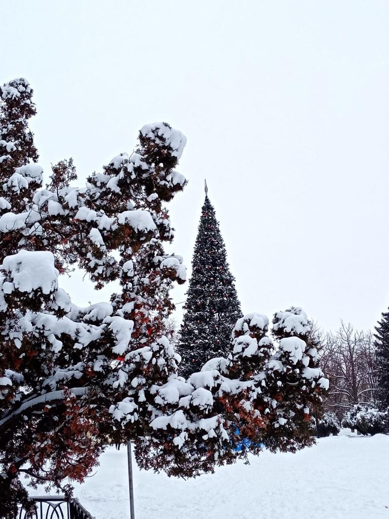 Новости города | Белая Калитва: Информационно - развлекательный портал - Страница #18 photo Ждем китайского Нового года!