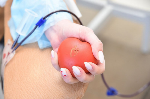 В Белой Калитва можно сдать кровь в рамках проекта «#ЯвТЕМЕ_донорства»